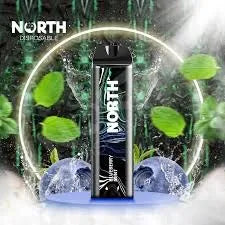 NORTH 5K BLUEBERRY MINT